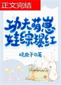功夫宝宝教程