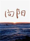 向阳而生的图片