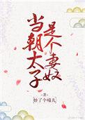 当太子变成男宠