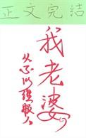 九零好媳妇的岁月