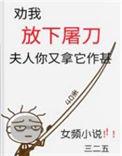夫人你又拿它作甚全文阅读