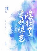 婆文女配