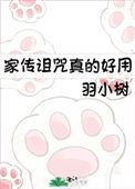 家传诅咒真的好用晋江