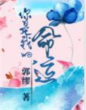 你是我的命运韩国综艺在线观看