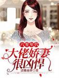 六零之大佬