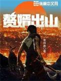 赘婿出山惊京华2