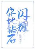 你比钻石闪耀倚梦寻免费阅读