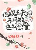 摄政王婚姻