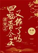 清穿之四爷的作妖小福晋番外