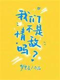我们不是les