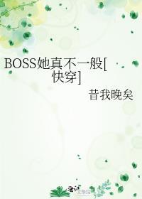 boss他又来了在线阅读