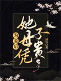 为妾后她母凭子贵免费阅读