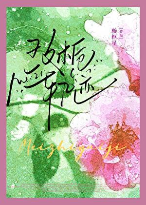 玫栀轨迹大结局是什么