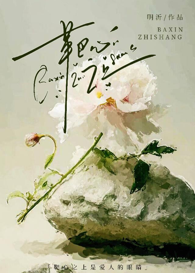 靶心图案
