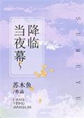 当夜幕降临城市继续前行