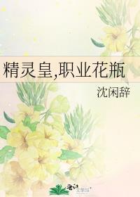 精灵皇职业花瓶TXT
