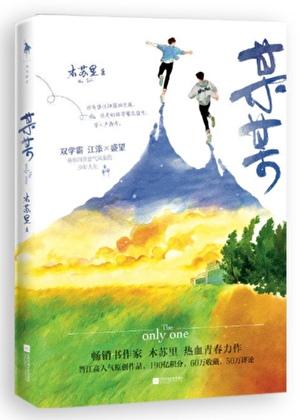 某某讲了什么故事