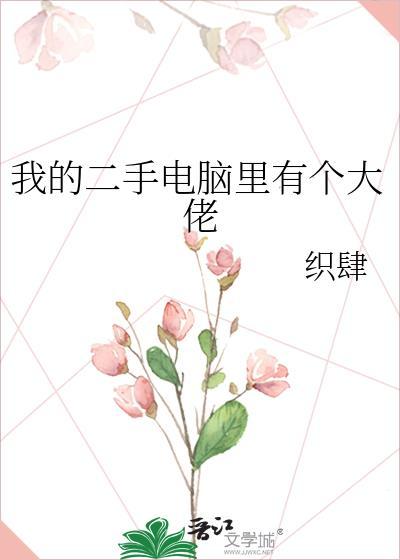 我的二手电脑里有个大佬免费阅读
