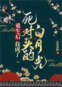 重生后我成了死对头的白月光古言