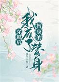 穿成替身后我跑了锦