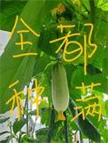 我把修真界懒哭了笔趣