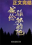 嫁给孤独的他附带番外