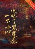一不小心攻略了黑莲花全文免费阅读