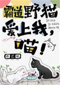 霸总的小野猫又软又娇