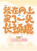 长颈鹿海外代购