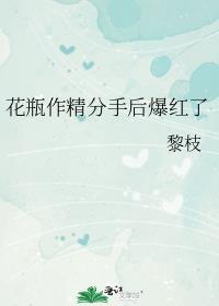 花瓶作精上位记
