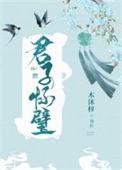 君子怀璧番外