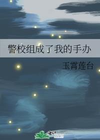 护心电视剧