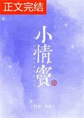 小情窦TXT百度