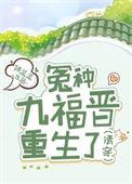 清穿九福晋推文
