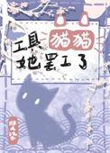 猫咪工具箱新版本