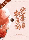 权臣的宠妻穿书格格党