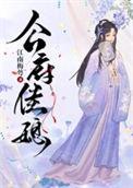 公府佳媳百度盘