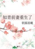 知青前妻重生了完整版