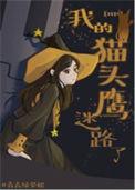 我猫头鹰的照片
