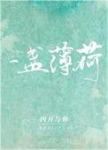 薄荷灯盏