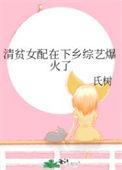 清贫贵女好看吗
