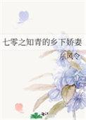 七零之下乡做知青