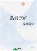 贴身侍卫百度百科