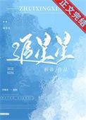 追星星的人歌词