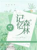 森林记忆的一张照片