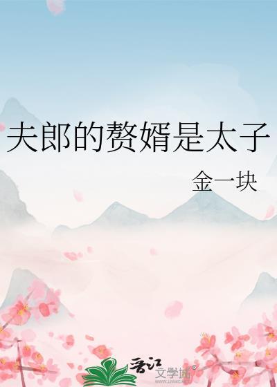 夫郎的赘婿是太子TXT在线阅读