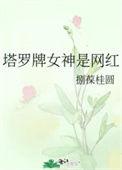 塔罗牌up主