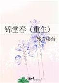 锦堂春好看吗