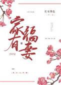 家有福妻有点钱