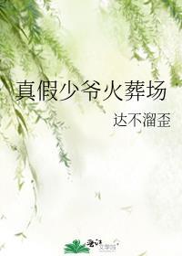 真假少爷火葬场IItxt